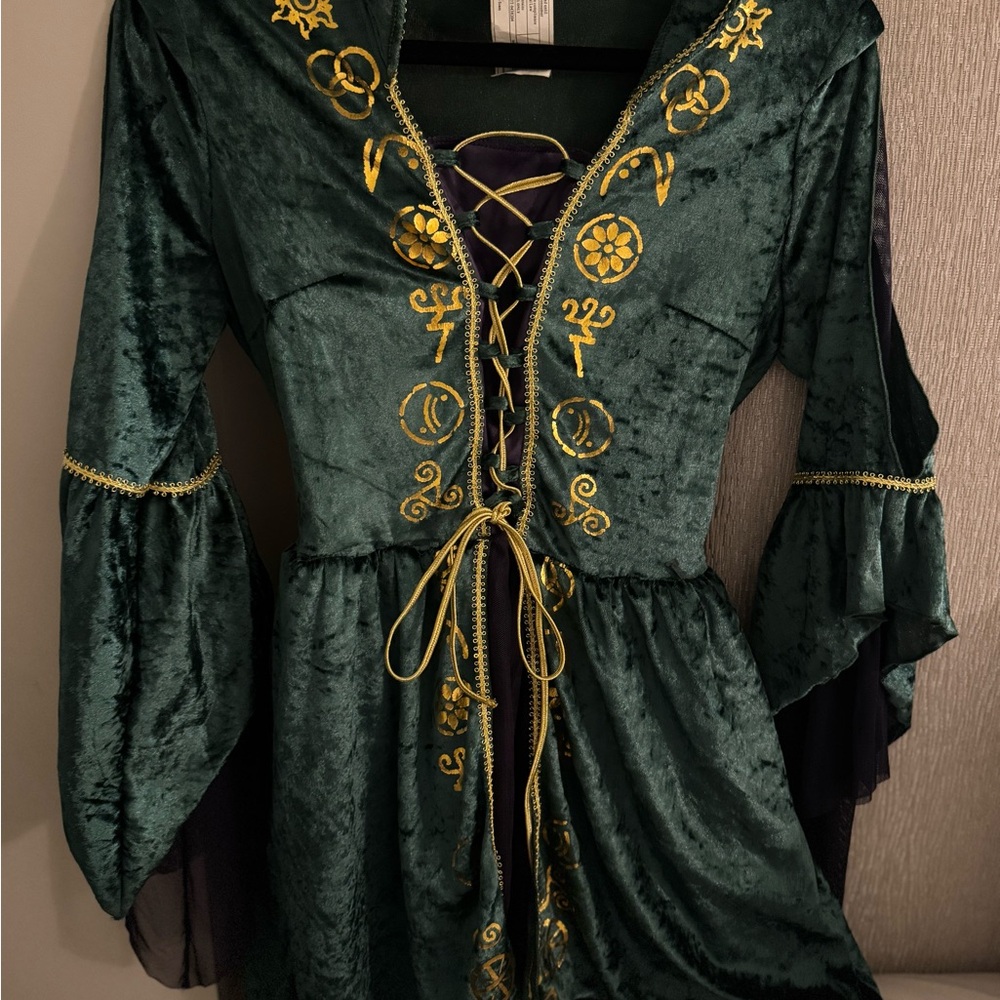 Hocus Pocus Winifred Halloween Costume Dress